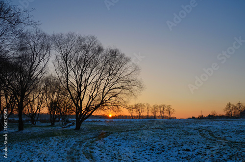 Obraz na płótnie Landscape with trees on during winter sunset w salonie