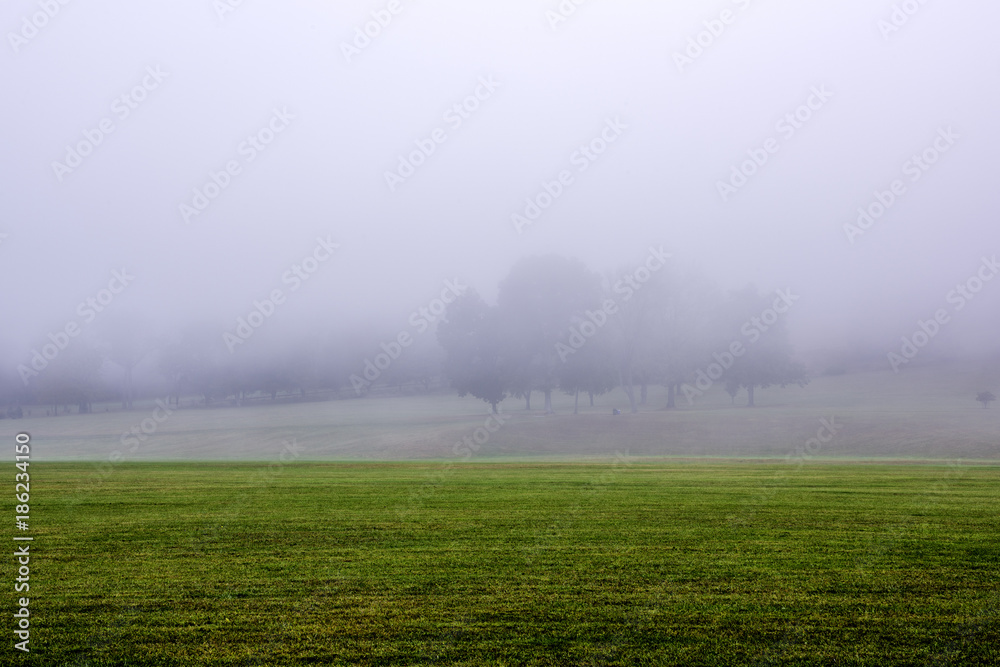 Magical foggy morning in Gladstone, New Jersey Magical foggy morning in Gladstone, New Jersey