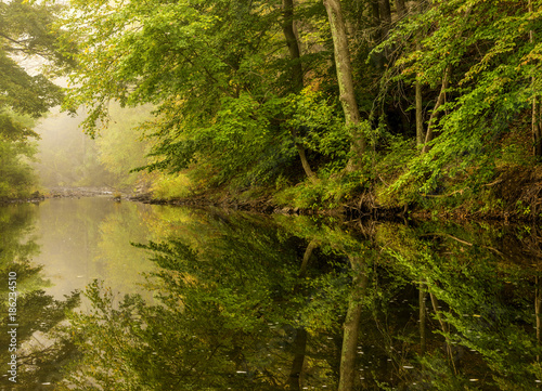Fototapeta Naklejka Na Ścianę i Meble -  River autumn foggy morning. Amazing seasonal colors and trees reflection in the water 