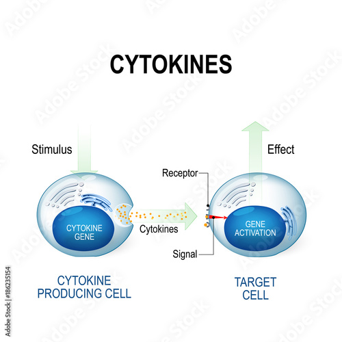 Cytokines