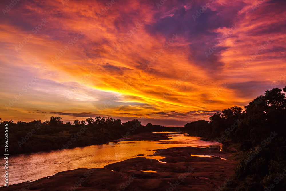 Sunrise scenery in Kruger National park, South Africa Sunrise scenery in Kruger National park, South Africa