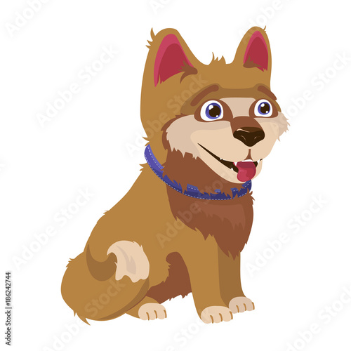 Cute shaggy puppy with protruding tongue and collar