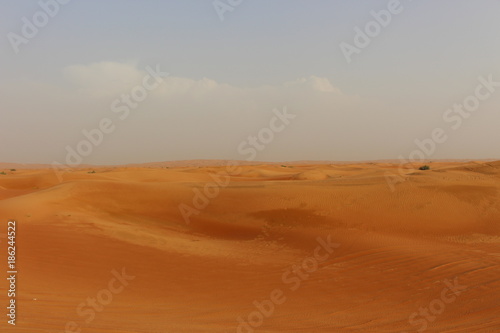 Fototapeta Naklejka Na Ścianę i Meble -  Wüste Dubai