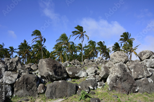 Landschaft der Osterinsel mit Felsbrocken und Kokospalmen.
