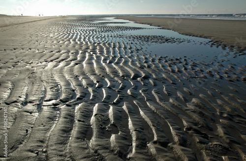 strand im gegenlicht