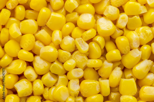 Yellow background of grains of canned corn. Pattern of corn kernels. Textured.