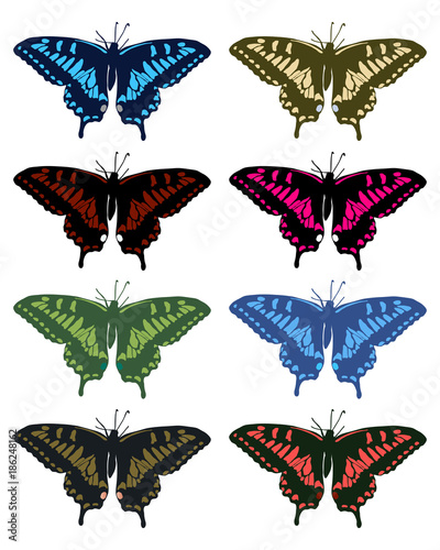 Illustration of colored butterflies on a white background, vector