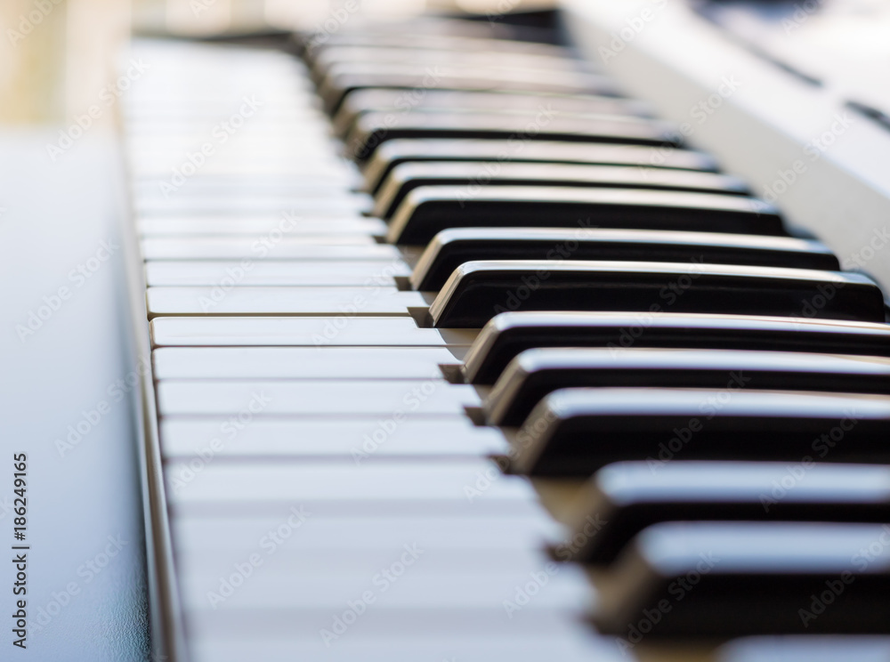 A keyboard instrument showing off its ivory keys. A keyboard instrument showing off its ivory keys.