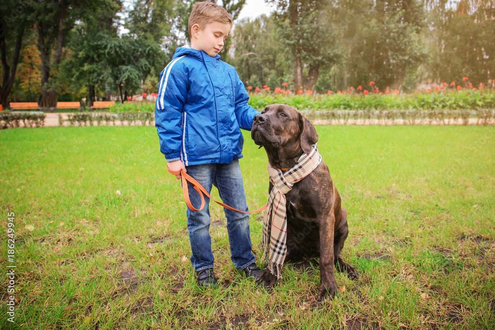 Cute little boy with his dog outdoors Cute little boy with his dog outdoors