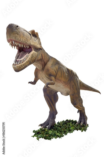 Tyrannosaurus in an aggressive pose. © SKfoto