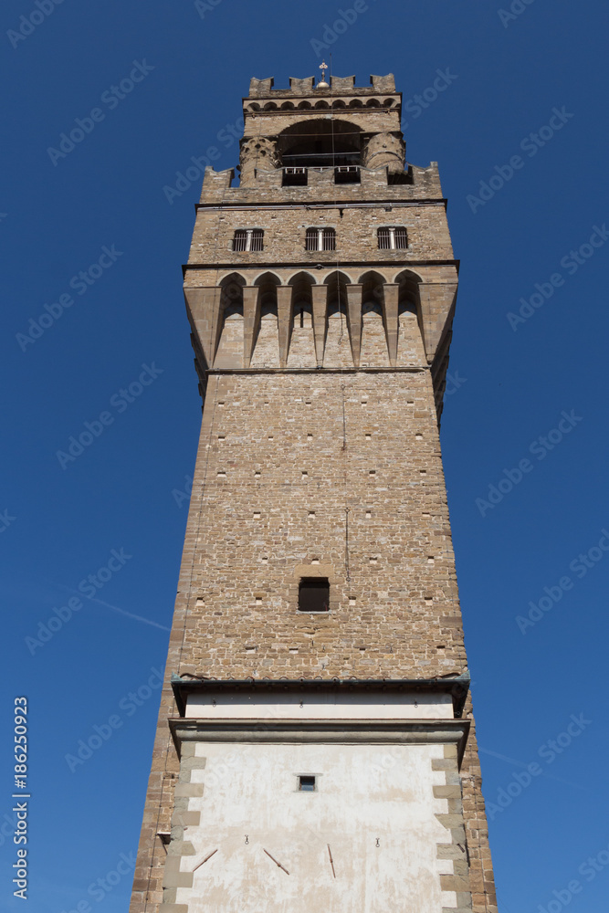 Back view of the Arnolfo Tower, Palazzo Vecchio, Florence, Tuscany, Italy.
