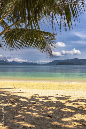 Tropical sandy beach with palm trees