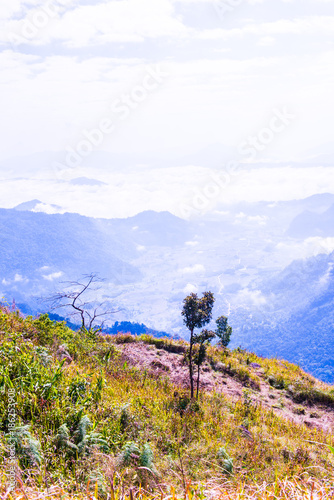 Phu Chi Fa View Point in Chiangrai Province photo