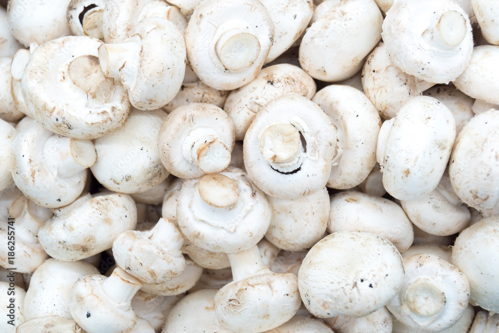 mushrooms champignons in boxes mushrooms champignons in boxes