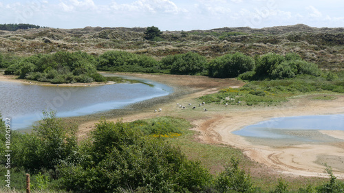 Panorama di polder olandese