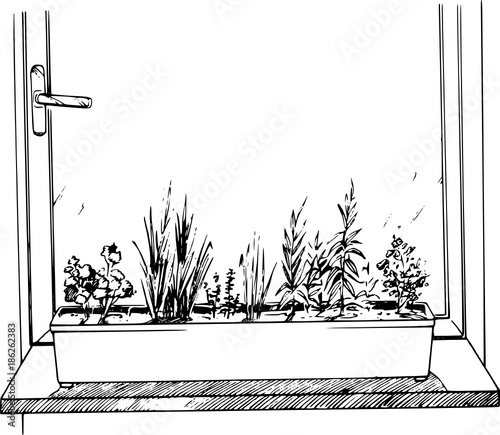 Fenster mit Blumen