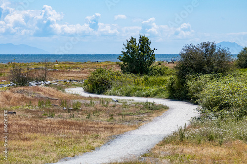 s shaped path in the park near the ocean