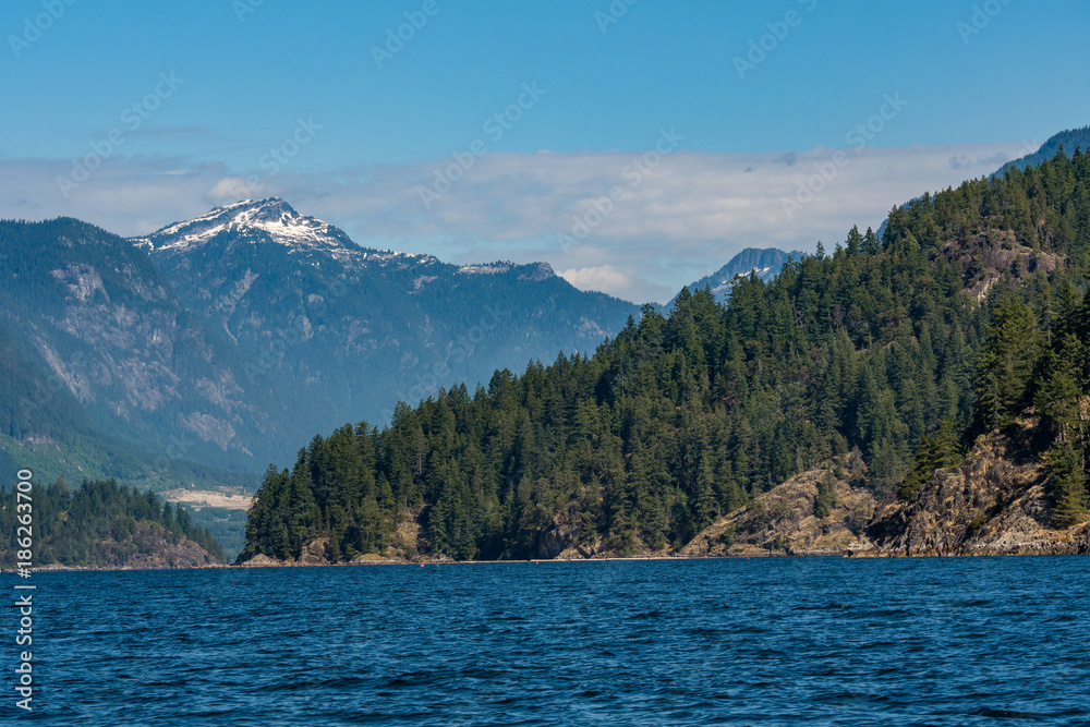 ocean landscape with mountains covered by forest and snow