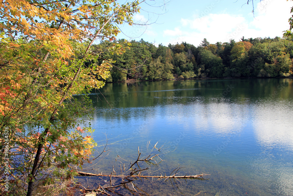 Fall landscape with lake and forest