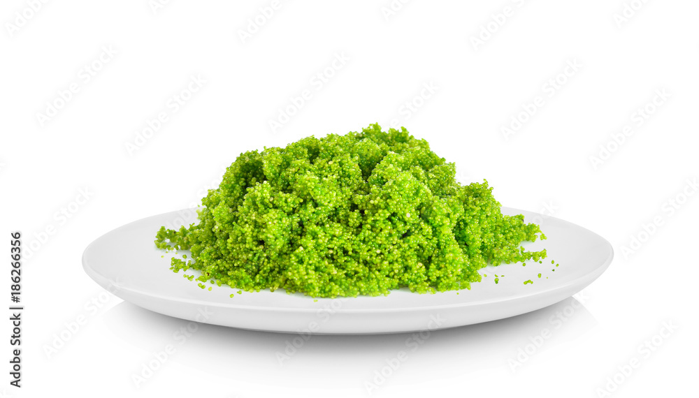 Swamp algae in white plate on white background Swamp algae in white plate on white background