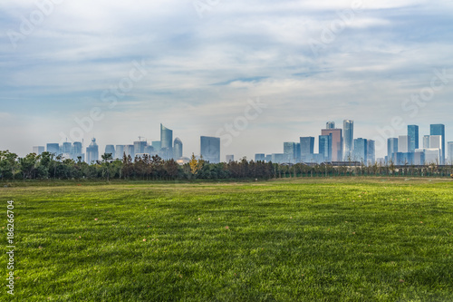 cityscape and skyline of hangzhou from meadow in park © hallojulie