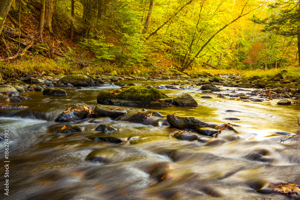 Beautiful autumn river background 
