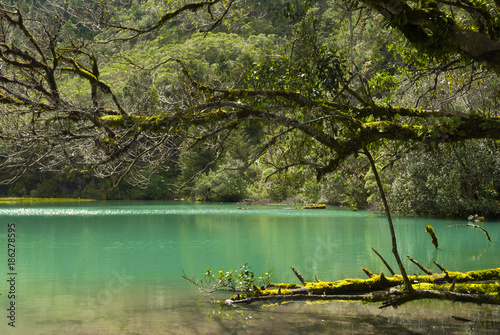 Mystic forest lagoon Magdalena in Huehuetenango  Guatemala  