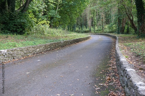 Stone lined roadway curves into the distance