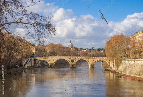 Rome (Italy) - The Tiber river and the monumental Lungotevere with 'Isola Tiberina' island and old bridges