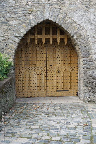 Ancient medieval castle gate