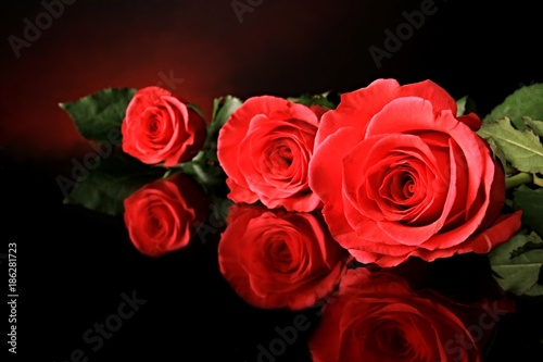 Valentine Roses laid out on a table with reflective surface