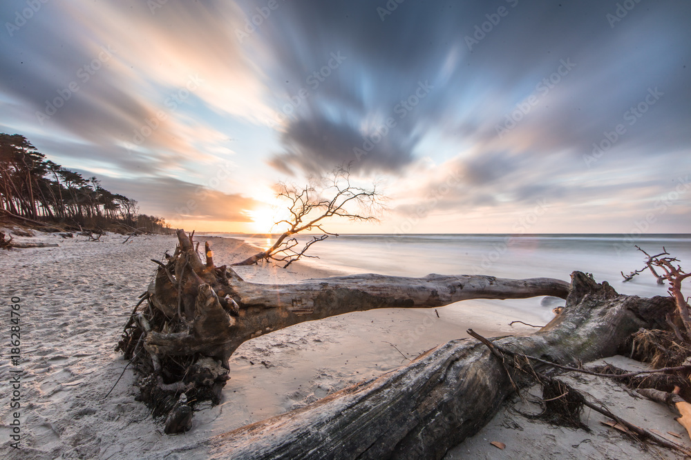 weststrand darß