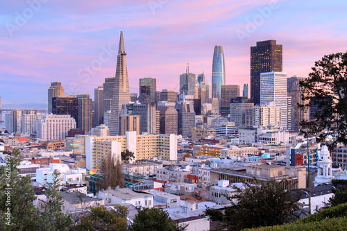 San Francisco Skyline in Pink and Blue Skies. Ina Coolbrith Park, San Francisco, California, USA.