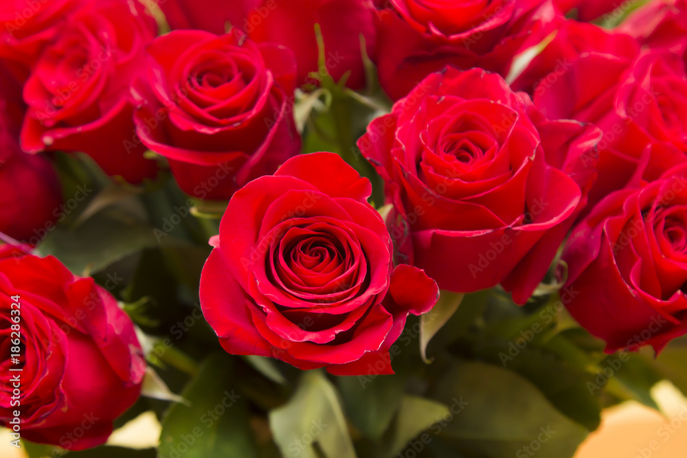 bouquet of red roses, valentine´s day
bouquet of red roses, valentine´s day