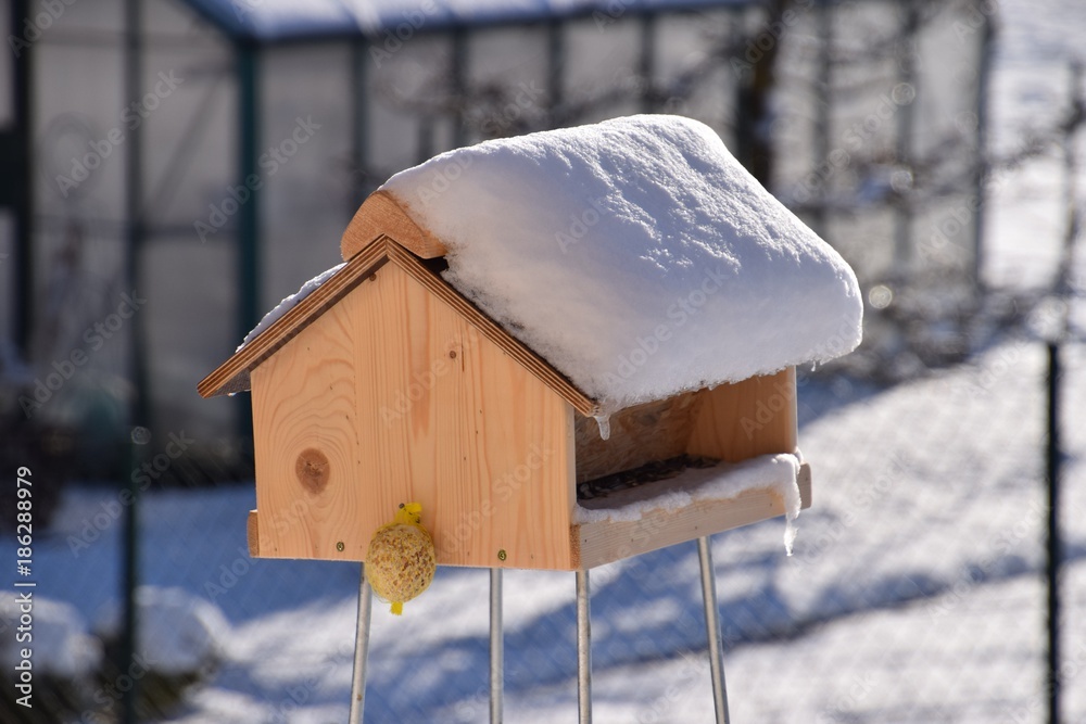 Naklejka premium Vogelhaus mit Schnee bedeckt und von der winterlichen Sonne bestrahlt im Garten stehend mit Gewächshaus