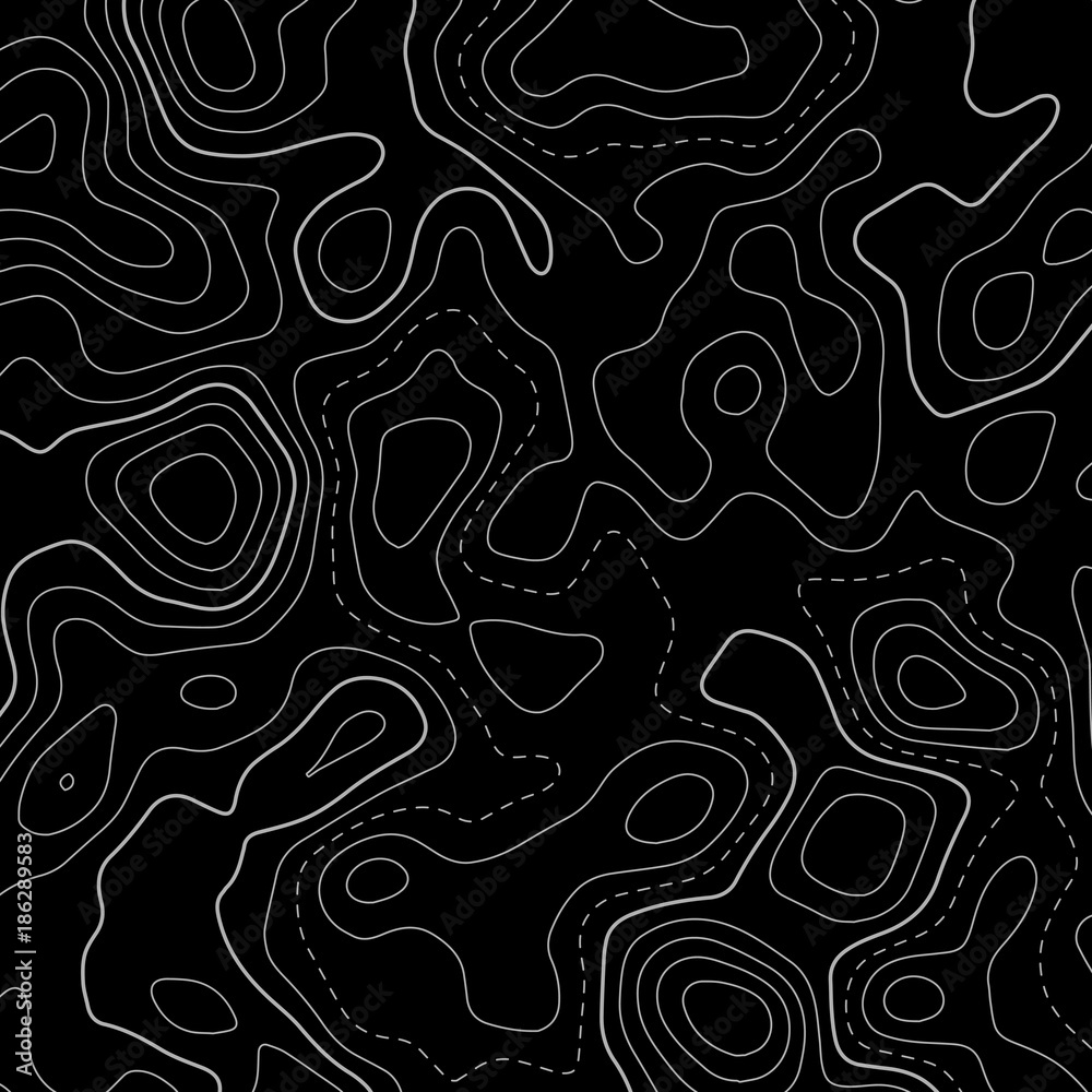 Obraz premium black topographic map lines background