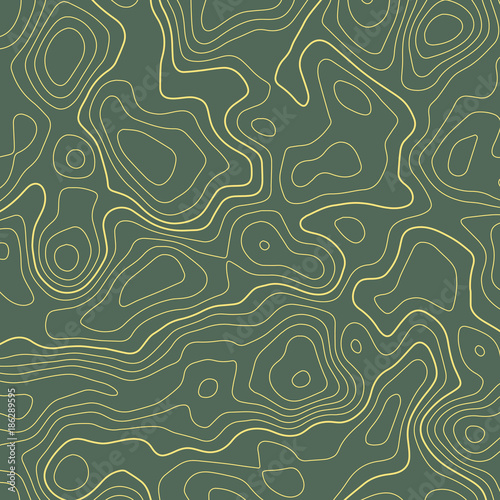 line topographic map contour elevation background photo