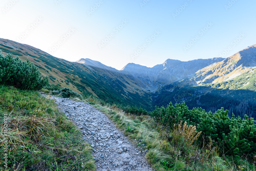 Obraz premium slovakian carpathian mountains in autumn. hiking trail on top of the mountain