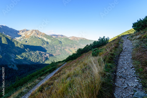 Fototapeta Naklejka Na Ścianę i Meble -  slovakian carpathian mountains in autumn. hiking trail on top of the mountain