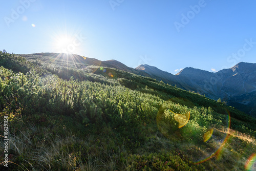 slovakian carpathian mountains in autumn. sunny hill tops in summer