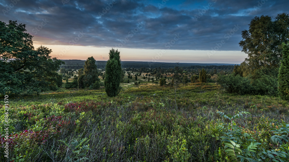 summer in german Heath