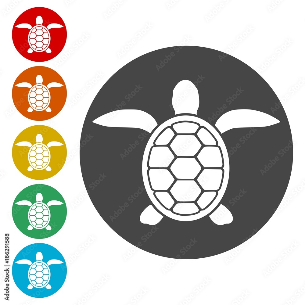 Obraz premium Turtle Icon Flat Graphic Design - Vector Illustration 
