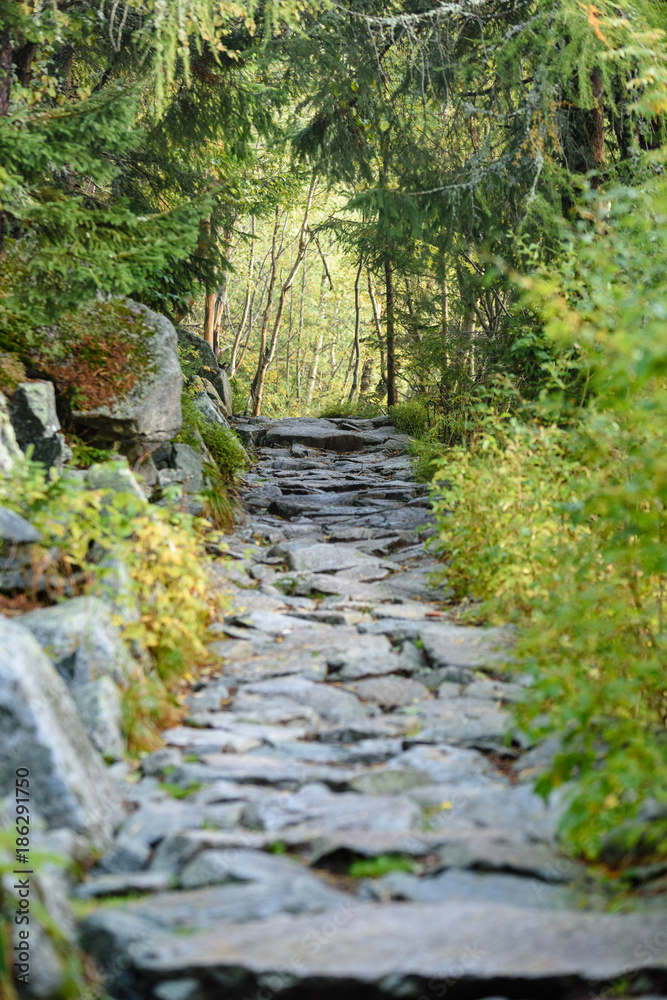 scenic and beautiful tourism trail in the park Slovensky raj, Slovakia scenic and beautiful tourism trail in the park Slovensky raj, Slovakia