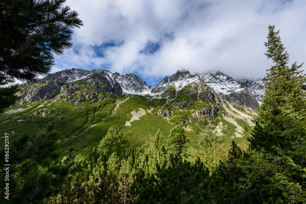 Fototapeta premium slovakian carpathian mountains in autumn. green hills with tops covered in first snow and white clouds above