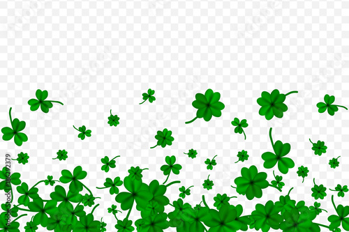 Saint Partick's Day with falling shamrocks on transparent background. St.Patricks vector card with clovers in green color. Vector illustration.