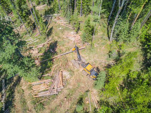 Logging from aerial view, Siberian forest.