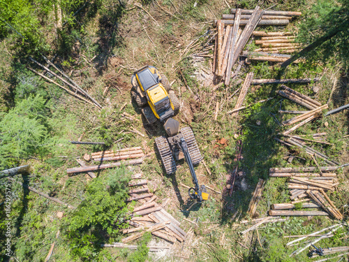 Logging from aerial view, Siberian forest.
