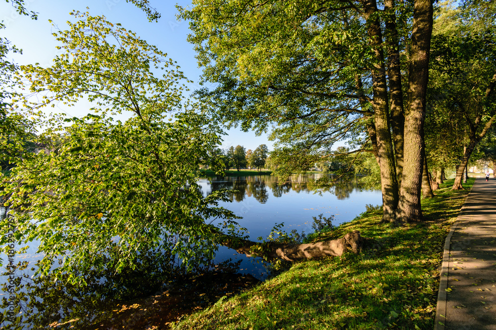 high water level in river Gauja, near Valmiera city in Latvia. summer trees surrounding