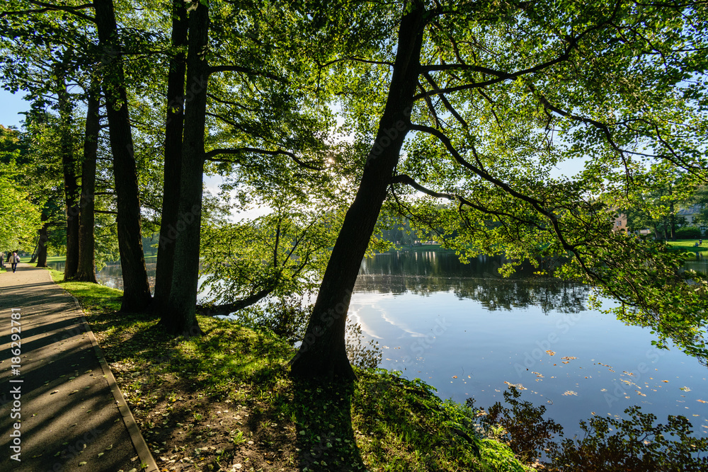 Obraz premium high water level in river Gauja, near Valmiera city in Latvia. summer trees surrounding