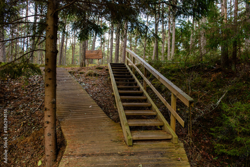 old wooden boardwalk covered with leaves in ancient forest